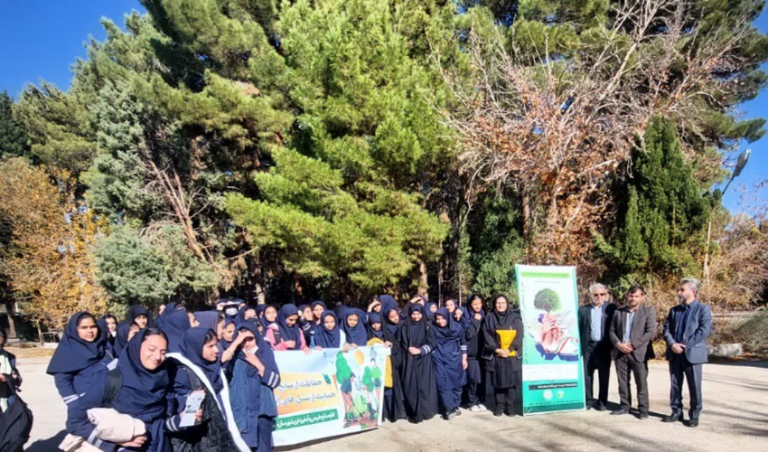 بازدید از پارک جنگلی شهرستان جاسک