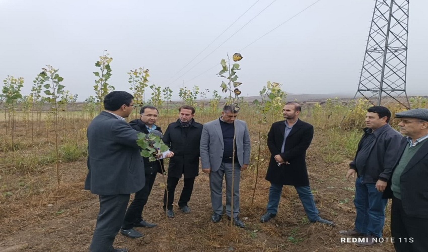 تودیع و معارفه رییس امور قراردادهای اداره کل منابع طبیعی و آبخیزداری هرمزگان 