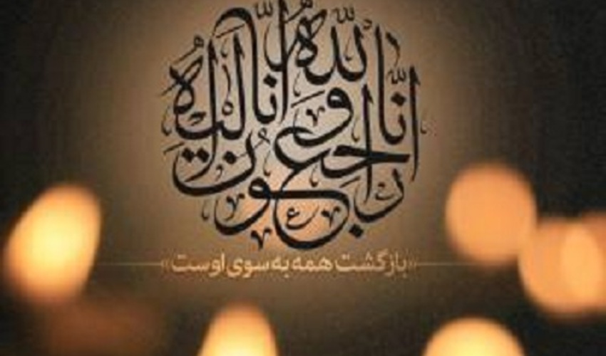 سند تک برگی کاداستری پلاک قلات صادر شد