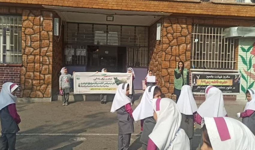 سند تک برگی کاداستری پلاک کنارو صادر شد