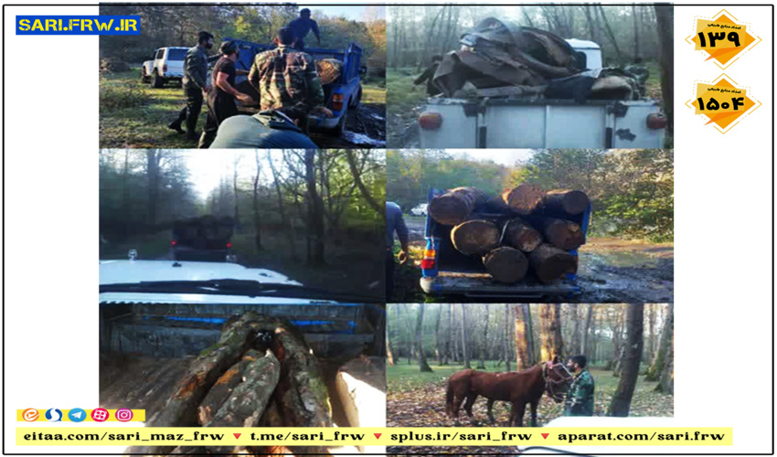 گشت زنی و مراقبت مستمر توسط یگان حفاظت شهرستان بندرلنگه