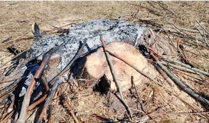 بازدید آموزشی ترویجی آبخیزنشینان طرح مدیریت سراب جاماش