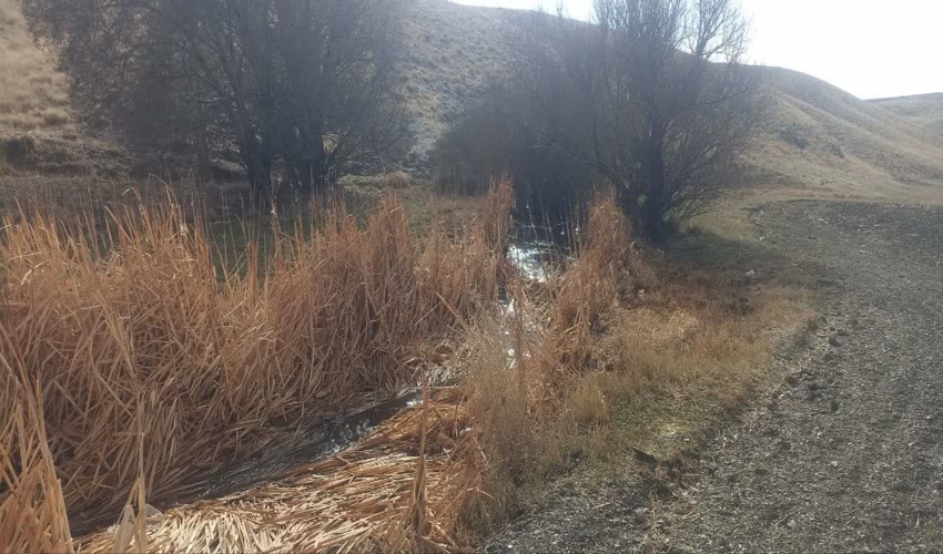 جلسه هم اندیشی رئیس اداره منابع طبیعی وآبخیزداری بندرخمیر با شهردار شهربندرپل