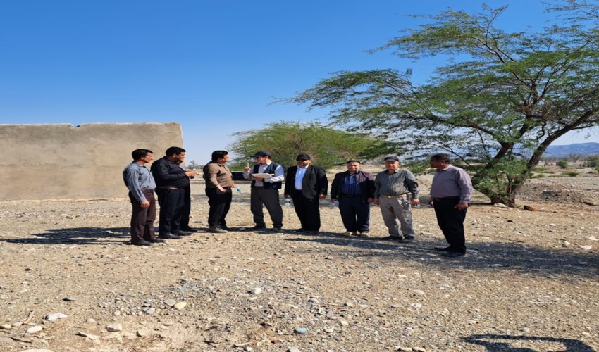 گلدهى درختان كنار در شهرستان بستك