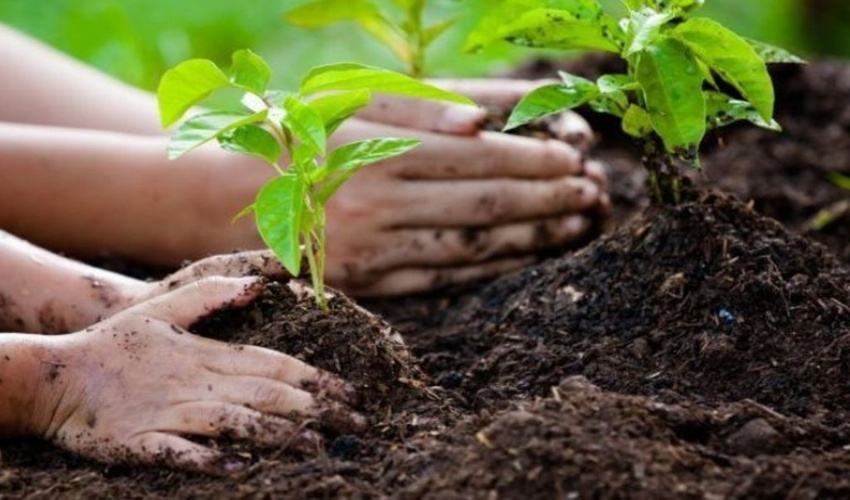 حراکاری خور حوزه شهری  شهرستان جاسک به مناسبت فرا رسیدن دهه مبارکه فجر