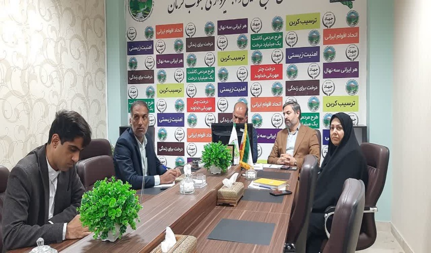  استقبال فعالان صنایع چوب کشور برای سرمایه گذاری در حوزه زراعت چوب