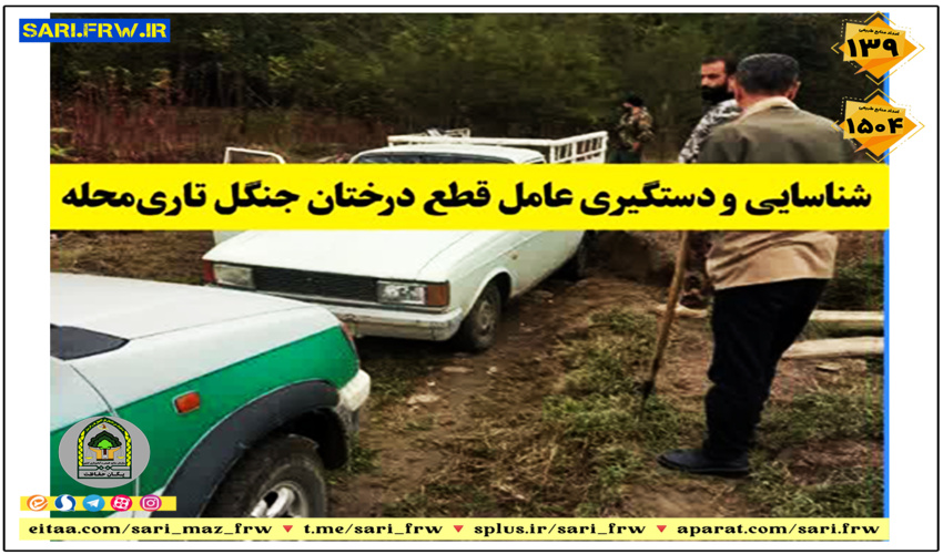 تفاهم نامه حفاظت مشارکتی مرتع کیایی جاسک منعقد شد.