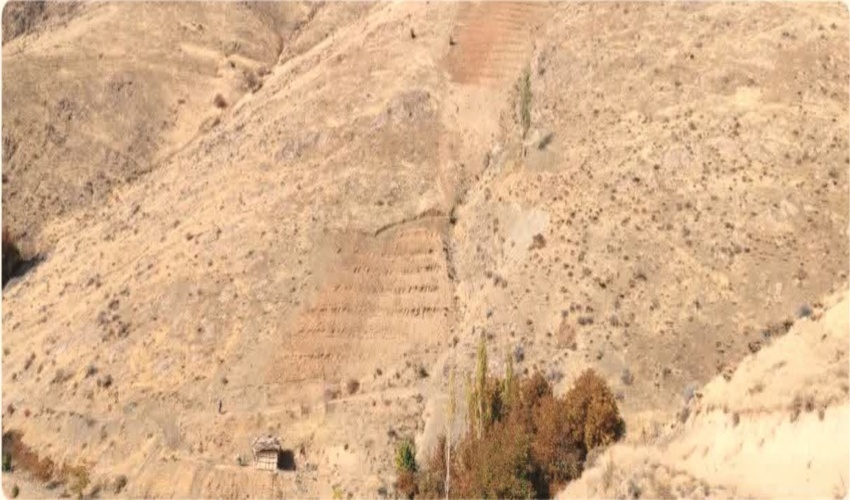 تجلیل از کارمند نمونه اداره منابع طبیعی وآبخیزداری شهرستان سیریک