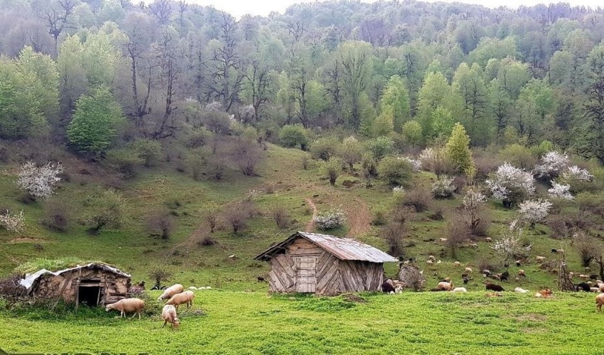 اینفوگرافیک : توانمند سازی جوامع محلی از محل اعتبارات صندوق توسعه ملی