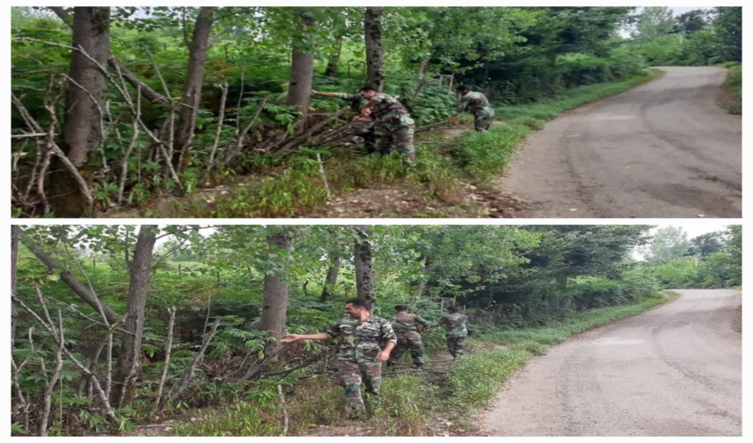 بازدید از جنگلکاری سنواتی در روستای گونمردی سیریک