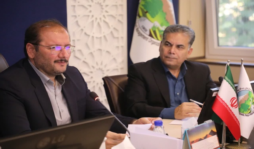 توانمندسازی و توان افزایی تسهیلگران ،همیاران طبیعت و تشکل ها در شهرستان قشم‎