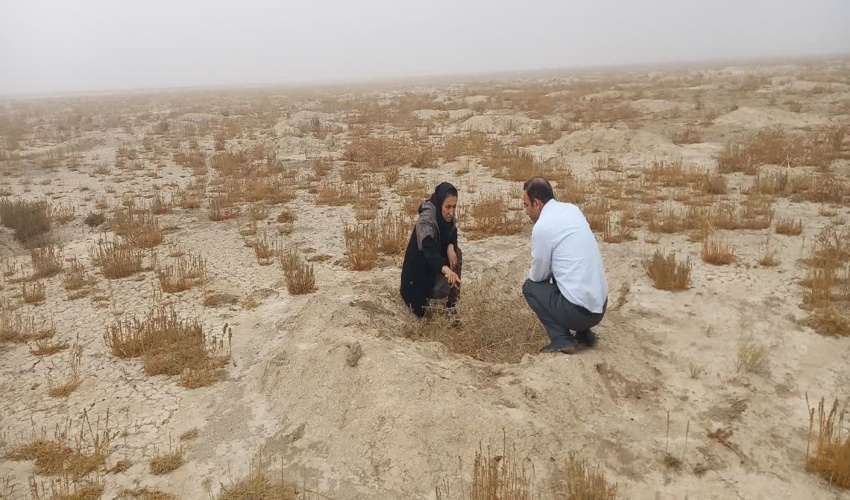 تک برگی شدن اسناد دفترچه ای روستای سورو کلنگو در حوزه آبخیز کندران شهرستان بندرلنگه 