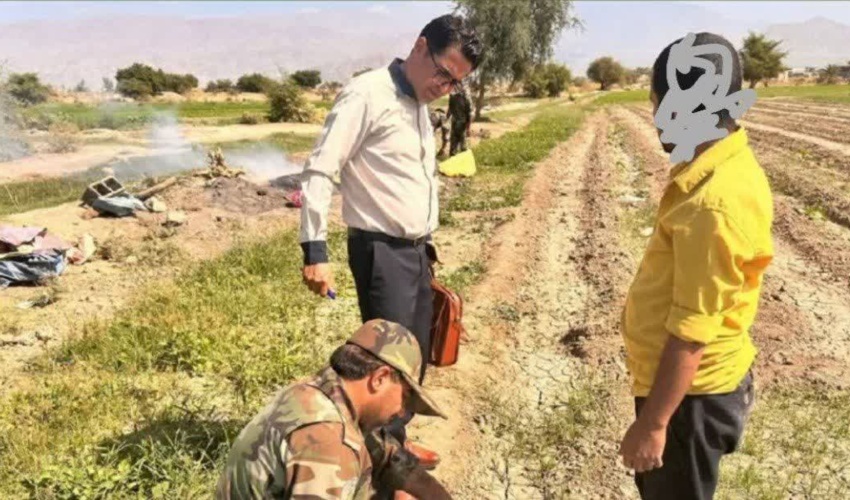 سند تک برگ قریه پل شهرستان بندرخمیرصادرشد