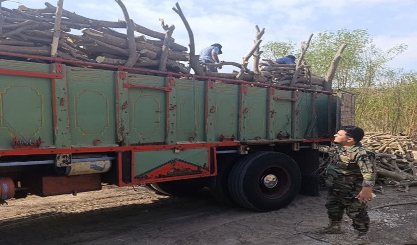اطفاء حریق در منطقه رستاق شهرستان بندرلنگه