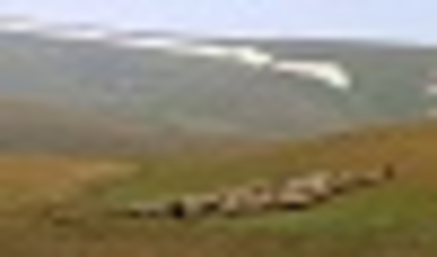 پیام تبریک مدیرکل منابع طبیعی و آبخیزداری هرمزگان به مناسبت آغاز هفته دفاع مقدس 