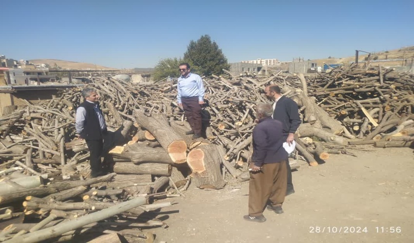 سند تک برگی کاداستری پلاک مرتع چاه خرگ چاه اسماعیل صادر شد