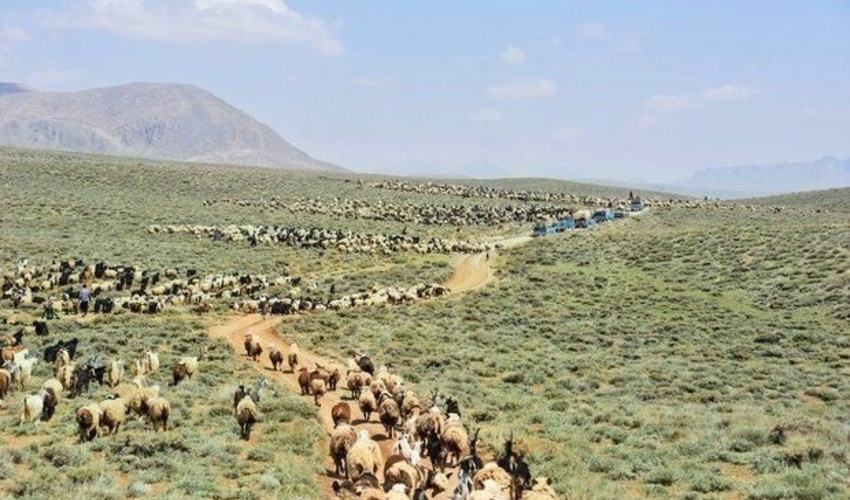 توقف عملیات خاکبرداری منطقه بستانه شهرستان بندرلنگه