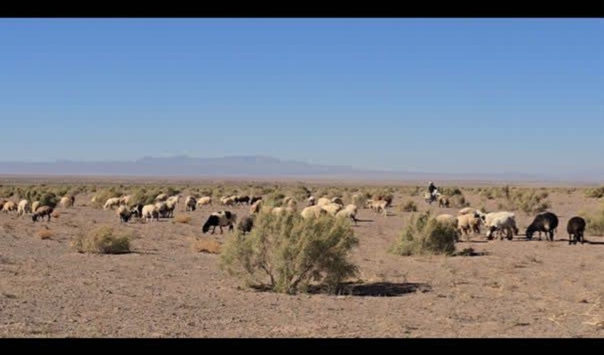 کسب رتبه برتر در شاخص های عمومی اداره کل منابع طبیعی و آبخیزداری استان هرمزگان در جشنواره شهيد رجايی1400