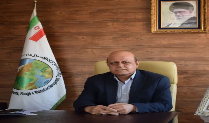2 تن محموله چوب بدون مجوز در شهرستان بندرعباس توقیف شد