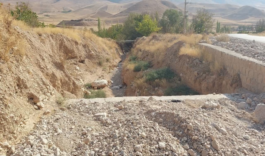 نهضت نهالکاری مشارکتی تا اسفندماه ادامه دارد/ ساحل بندرعباس حرا کاری شد 