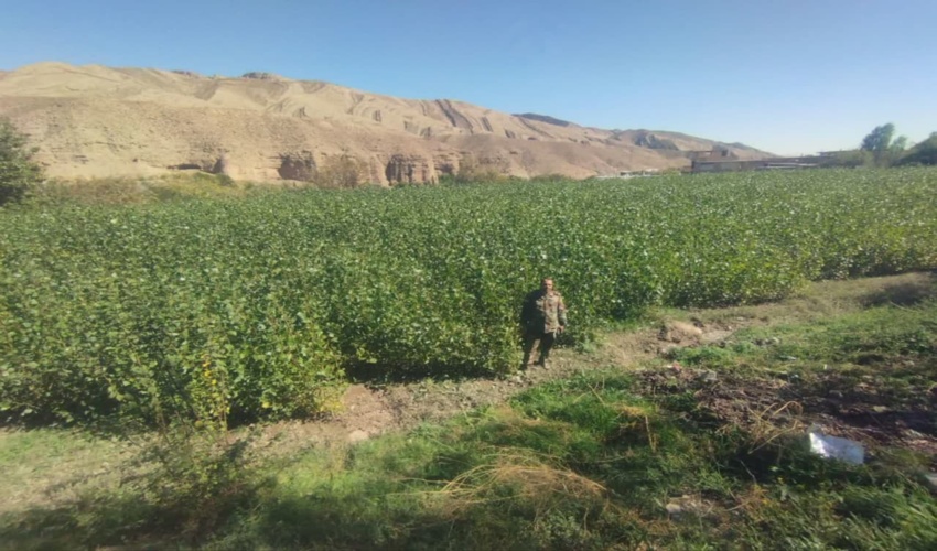 53سفیر انفال به کمک منابع طبیعی هرمزگان آمده اند 