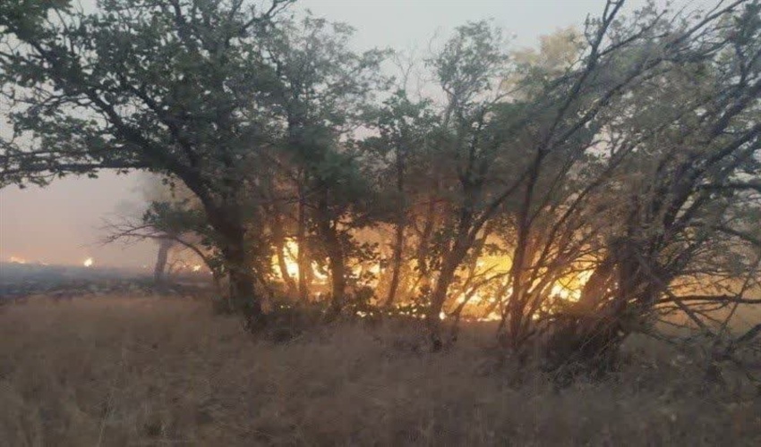 استعدادیابی 210  هکتار از اراضی  ملی میناب