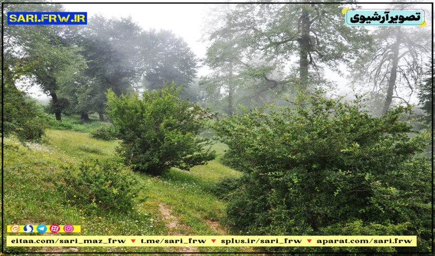 کارگاه آموزشی همیاران طبیعت و نقش آن ها در مدیریت مشارکتی منابع طبیعی در شهرستان جاسک برگزار شد.