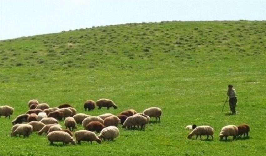 برگزاری جلسه کارگروه نیروهای مسلح 