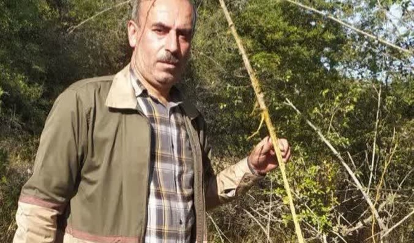 برگزاری  دوره آموزشی همیاران طبیعت در میناب