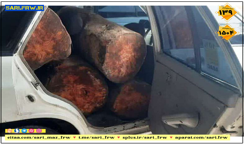 3 هکتار  از اراضی ملی شهرستان حاجی آباد رفع تصرف شد