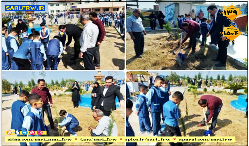  بهره‌برداری و صادرات محصولات گیاهان دارویی در جنگل و مرتع آسان می شود