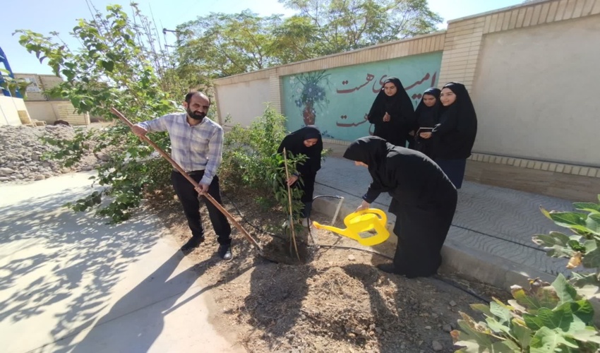 سند تک برگی کاداستری پلاک  خورچاه صادر شد