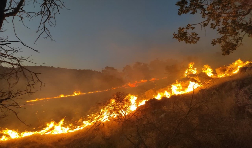 استعداديابى ميزان ۶۵ هكتار از اراضى ملى شهرستان بستك در شش ماهه نخست سال‌جاری