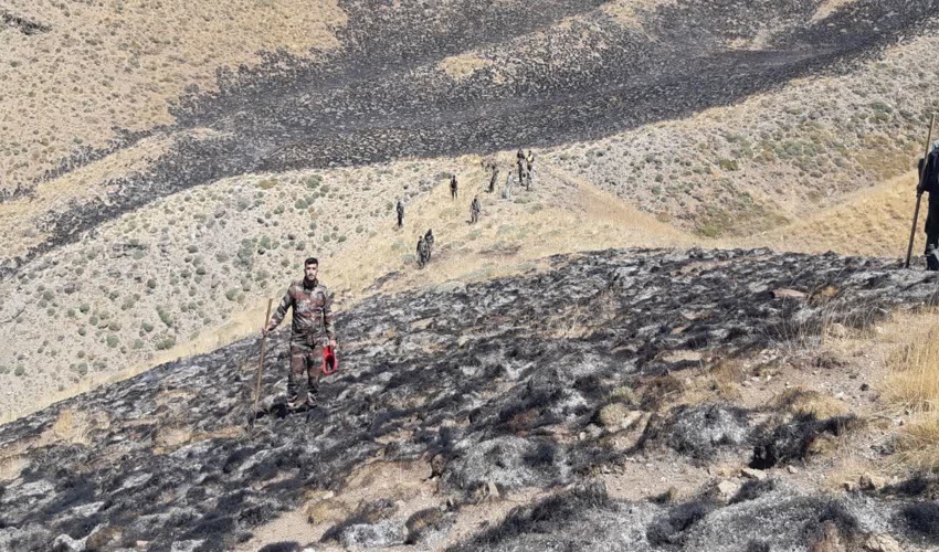  ۶ هزار هکتار جنگل‌ مانگرو در مسیر احیا 