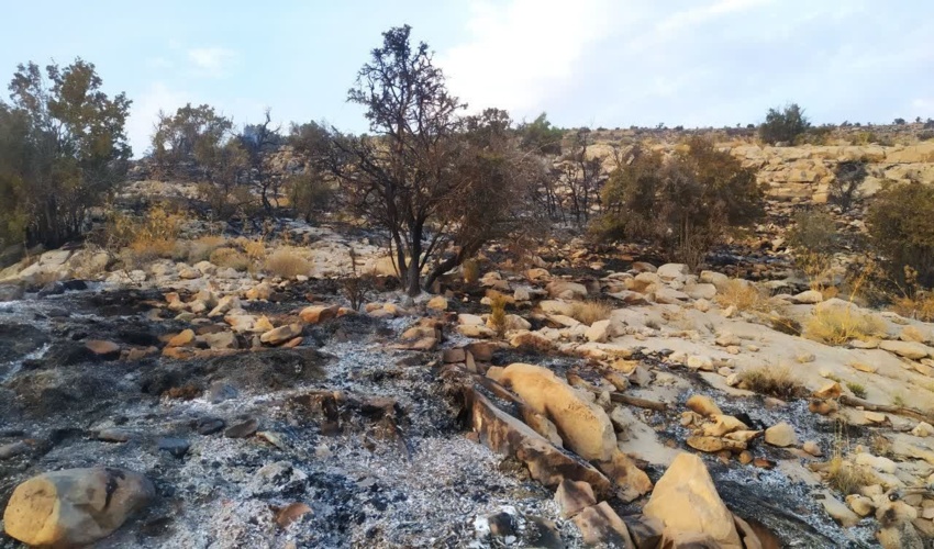 برداشت نقاط ثابت پلاک های ساحلی در شهرستان بندرلنگه