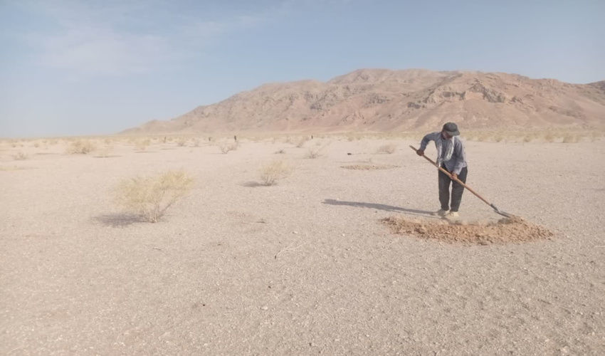 بیش از 7 هکتار از اراضی ملی شهرستان حاجی آباد رفع تصرف شد