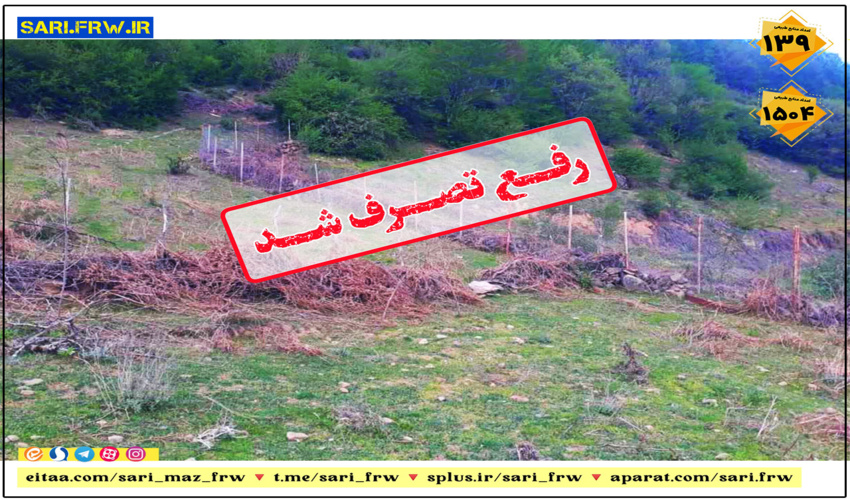 تقدیر دادستان دادسرای عمومی و انقلاب بندرعباس  از مدیر کل منابع طبیعی هرمزگان