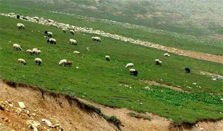 آزاد‌سازی ۱.۷ هکتار  از اراضی ملی بخش کوخرد هرنگ شهرستان بستک