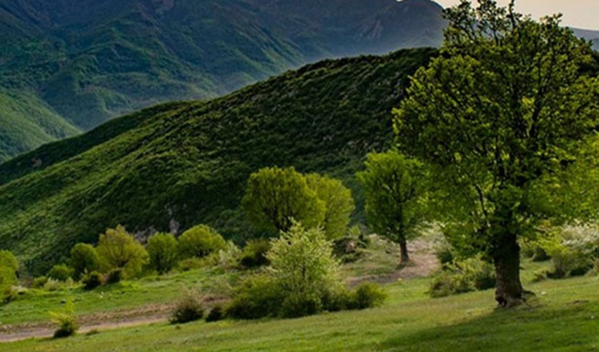 مهار آتش سوزی در اراضی جنگلی میناب