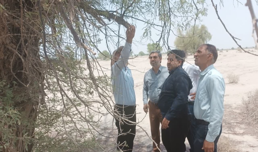 مهار آتش سوزی در اراضی جنگلی کوهگز میناب