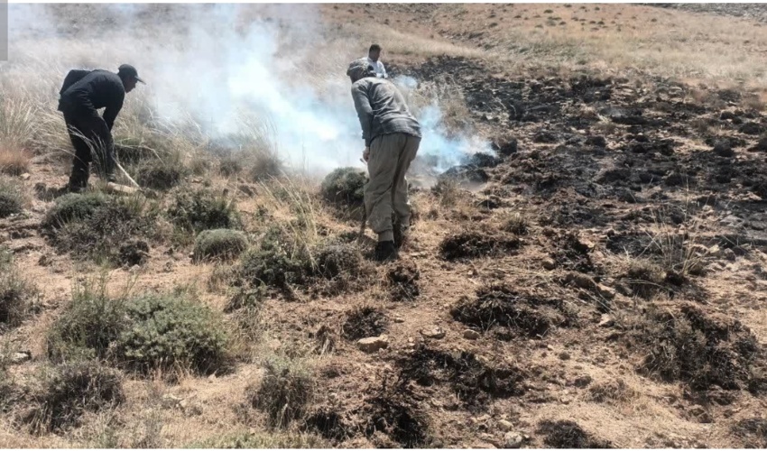 نماینده منابع طبیعی وآبخیزداری شهرستان بندرعباس در جزیره هرمز معرفی شد