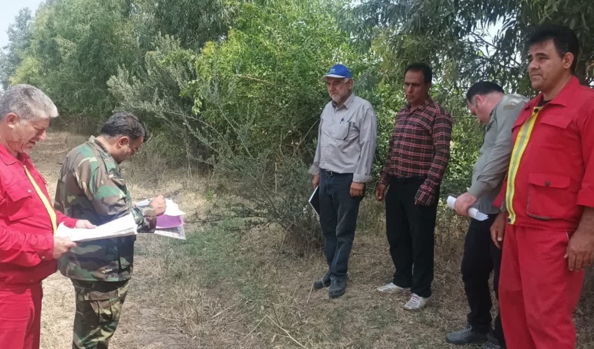 دریاکاران، احیاگر جنگل های خلیج فارس