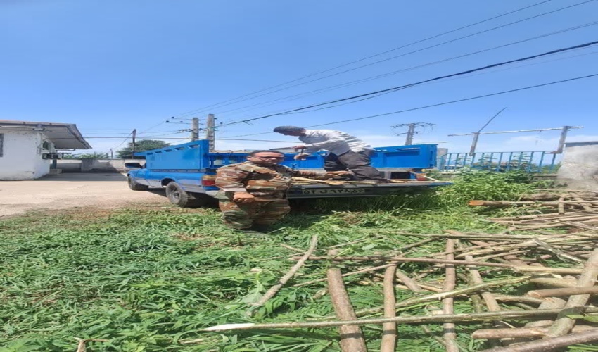 21 هکتار از اراضی ملی شهرستان حاجی آباد رفع تصرف شد