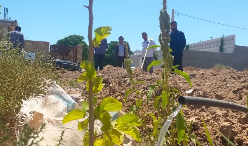 تفاهم نامه طرح حفاظت مشارکتی اداره کل و مرتعداران شهرستان حاجی‌آباد