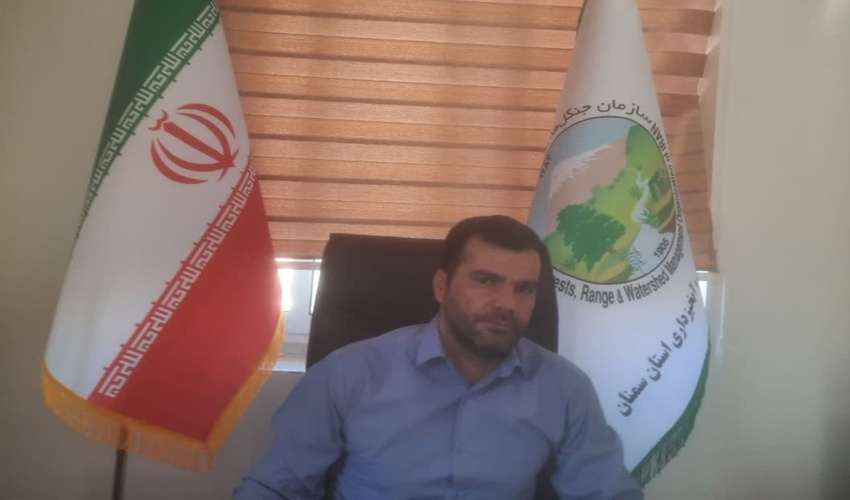 پیشرفت 35 درصدی پروژه پیشگیری و کنترل آفات وبیماری جنگلی ومرتعی صندوق توسعه ملی  شهرستان بندرلنگه