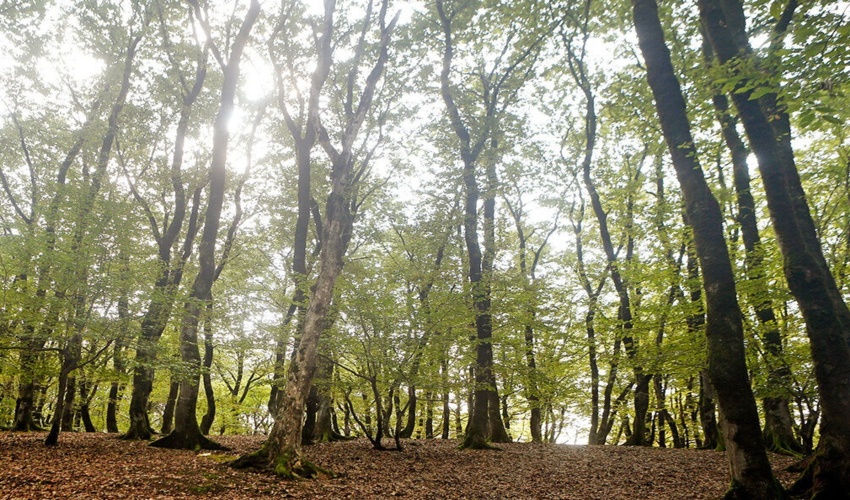 آبگیری پروژه های ذخیره نزولات آسمانی (هلالی آبگیر) منطقه چاه تر (2) شهرستان حاجی آباد