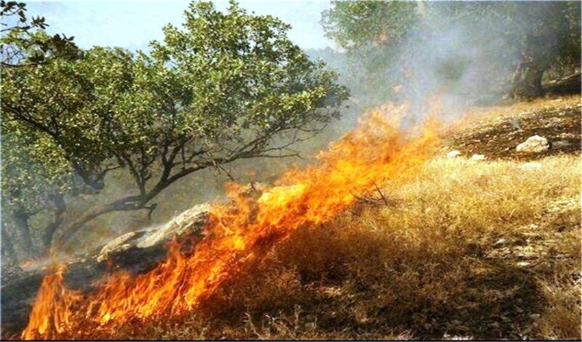 آبگیری 100درصدی سازه مکانیکی آبخیزداری حوزه پوراحمدی شهرستان حاجی‌آباد