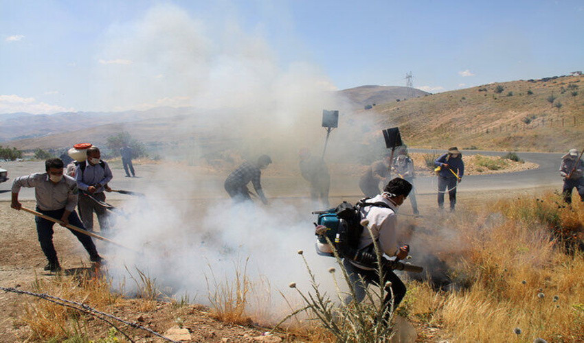 کنترل اراضی ملی و منابع طبیعی در منطقه گزدان شهرستان بندرلنگه