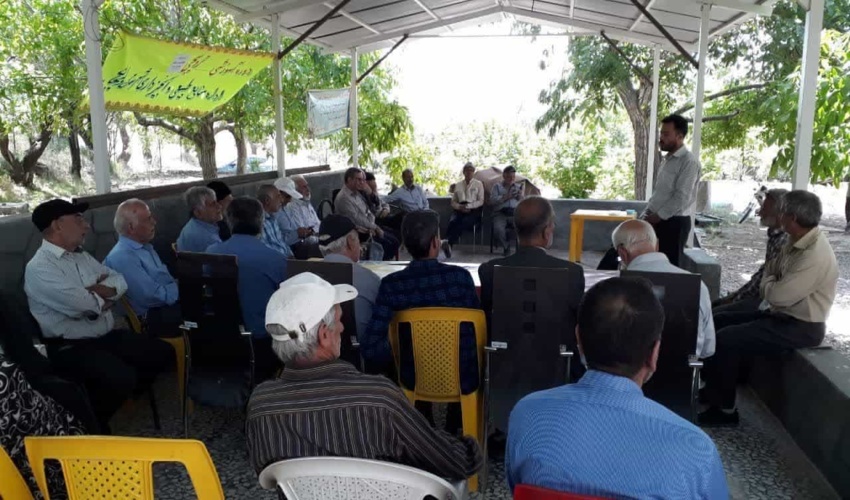 سرسبزی کرانه های خلیج فارس با مشارکت مردم محلی در کاشت گونه منحصر به فرد حرا  