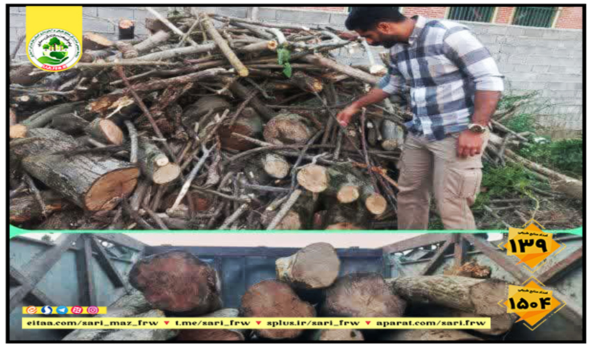 نظارت بر پروژه پیشگیری و کنترل آفات وبیماری جنگلی ومرتعی بخش مهران شهرستان بندرلنگه 